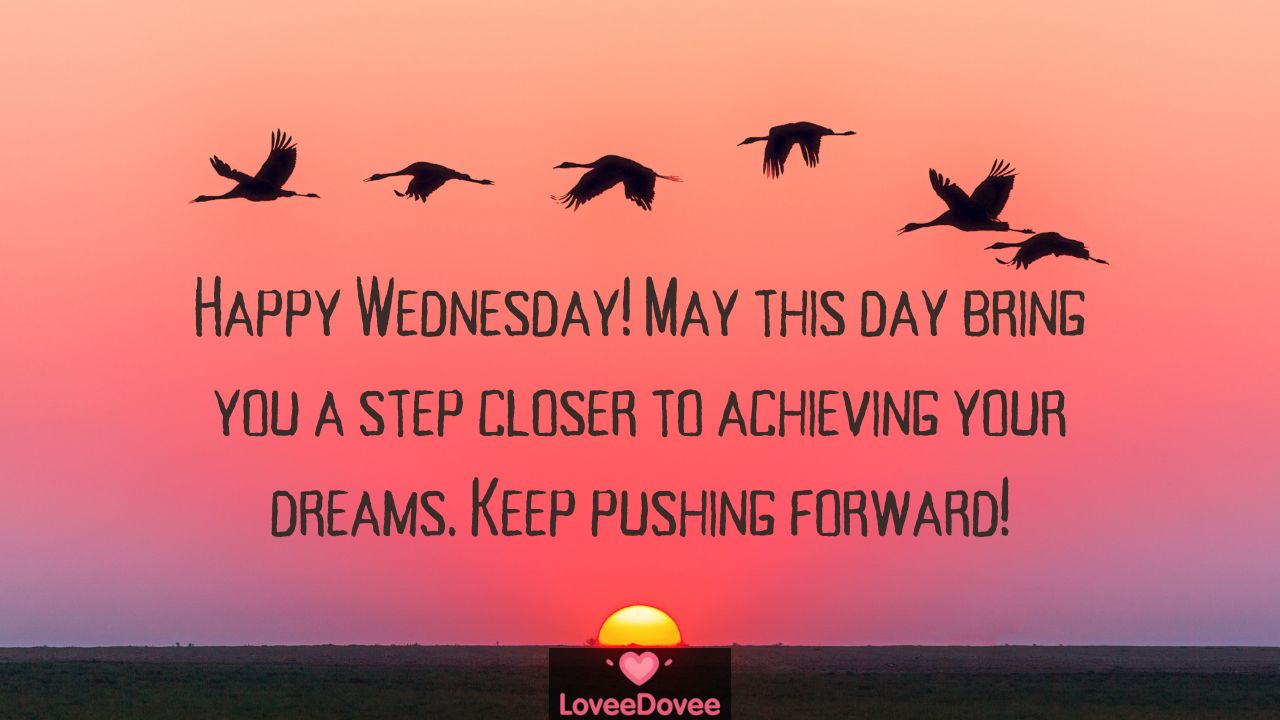 Happy Wednesday Wishes