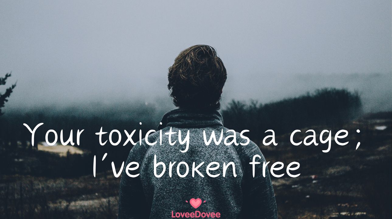 Toxic Relation Quotes
